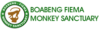 Boabeng Fiema Monkey Sanctuary